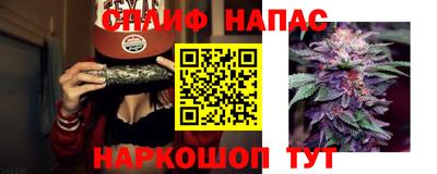 стафф Коломна