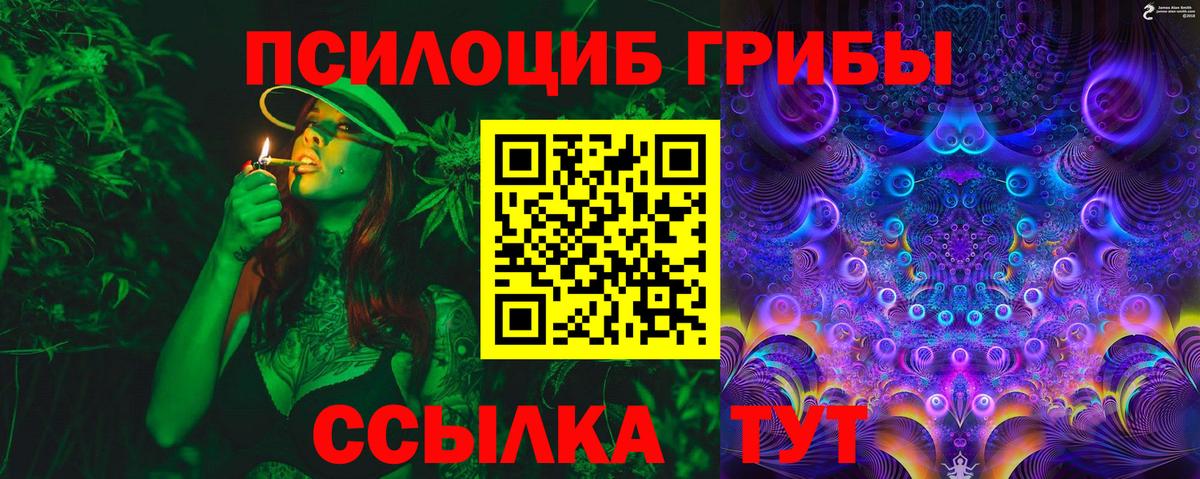 Псилоцибиновые грибы Cubensis Павлово