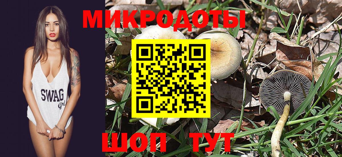 Павлово  Галлюциногенные грибы мухоморы  Вход с VPN 